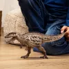 schleich Dinosaurier Carcharodontosaurus, 4 Jahr(e), Die Erde erobern, Dinosaurier und Vulkan, Mehrfarbig