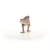 schleich Dinosaurier Carcharodontosaurus, 4 Jahr(e), Die Erde erobern, Dinosaurier und Vulkan, Mehrfarbig