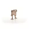 schleich Dinosaurier Carcharodontosaurus, 4 Jahr(e), Die Erde erobern, Dinosaurier und Vulkan, Mehrfarbig