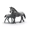 Schleich Lisas Turniertraining Pferdespielset, Kunststofffiguren, mehrfarbig, Alter 5–12