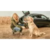 Bosch Fontus 18V Akku-Hochdruckreiniger Standgerät Batterie Schwarz, Grün