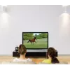 Ergotron Glide Wall Mount HD 61-061-085 Wandhalterung, bis 152,4 cm (60 Zoll), höhenverstellbar, neigbar, 18,1 kg, schwarz