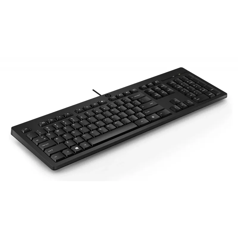 Tastatur HP 125 USB WD KBD Bulk 12 Full-size Wired QWERTY
