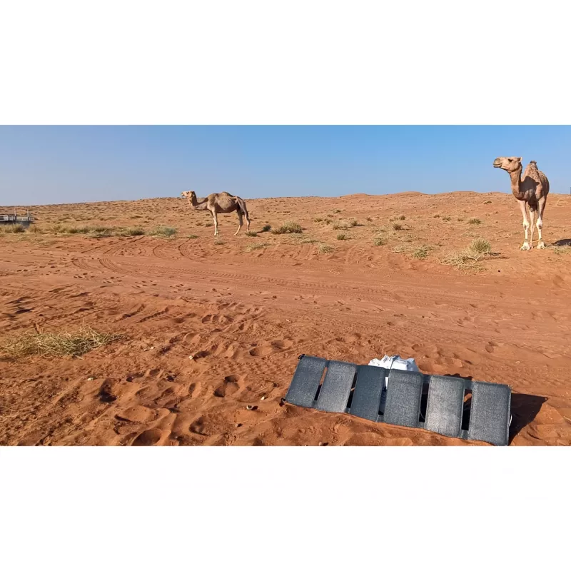 Sandberg Solar Charger 40W QC3.0+PD+DC, Outdoor, Solar, Schwarz