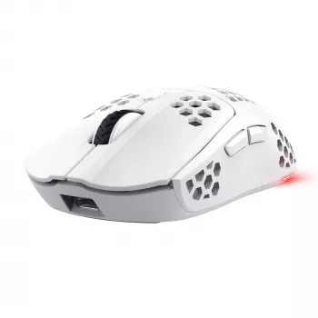 Trust GXT 929 Helox Maus Gaming Rechtshänder RF Wireless Optisch 4800 DPI