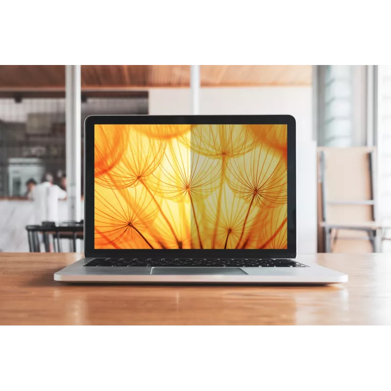 3M Bright Screen Privacy Filter für Apple® MacBook Pro® 16 2019, 16:10, BPNAP004