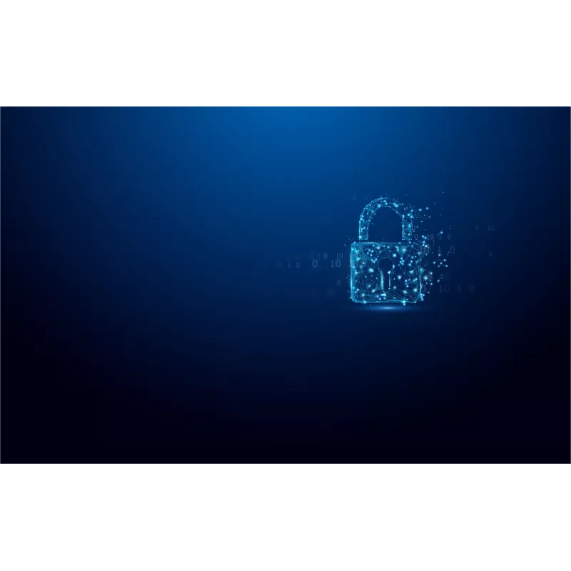 Kingston Technology IronKey 128 GB Vault Privacy 50 AES-256 verschlüsselt, FIPS 197