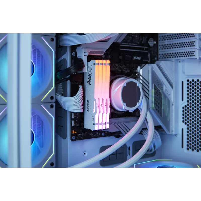 Kingston Technology FURY Beast 16GB 6000MT/s DDR5 CL30 DIMM Weiß RGB EXPO