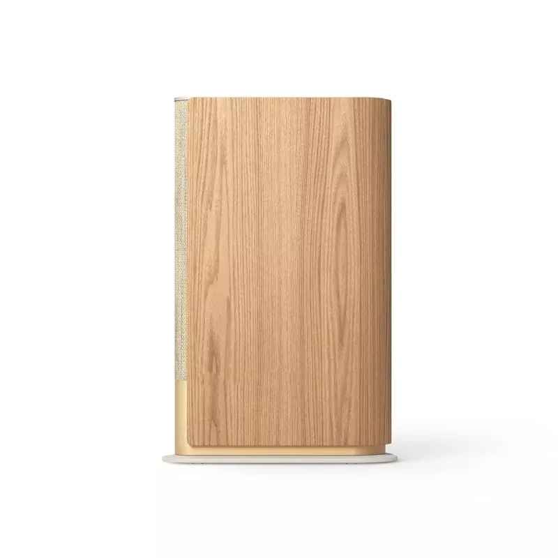 Tragbarer Lautsprecher Bang & Olufsen Beosound Emerge Braun