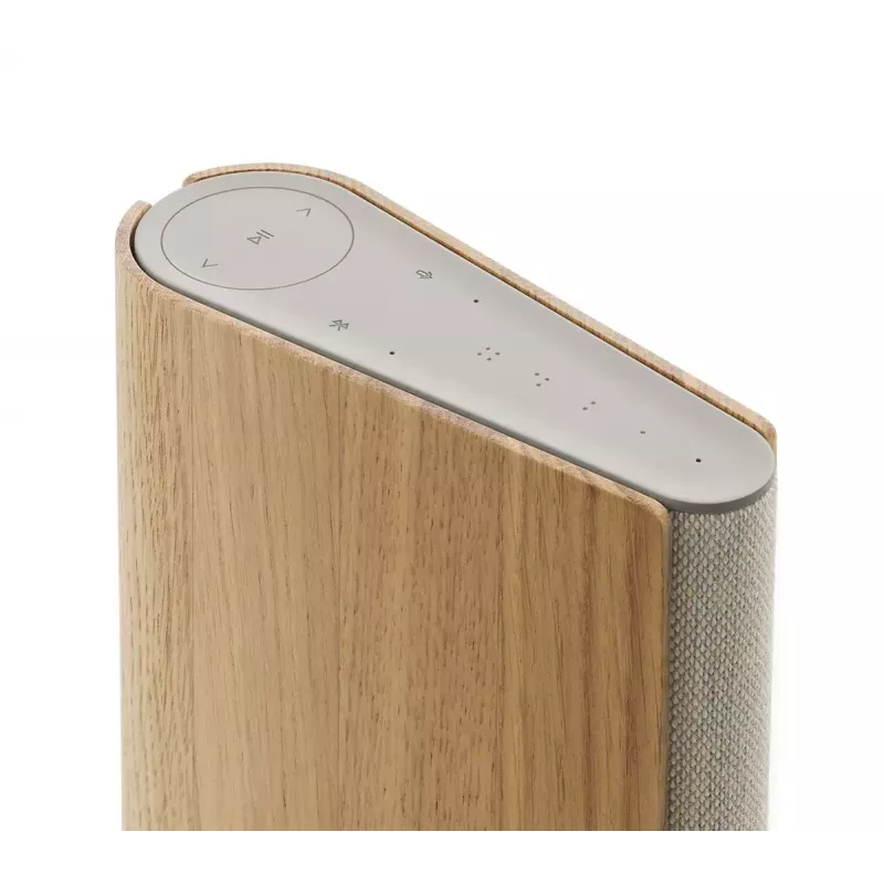 Tragbarer Lautsprecher Bang & Olufsen Beosound Emerge Braun