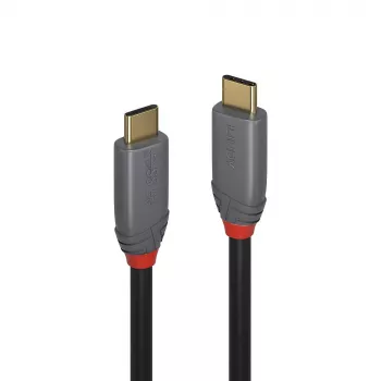 Lindy 1m USB 3.2 Typ C zu C Kabel, 20Gbps, 5A, PD, Anthra Line