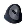 R-Go Tools Ergonomische Maus R-Go HE Break mit Pausensoftware, groß (Handgröße ≥ 185 mm), für Rechtshänder, Bluetooth, schwarz