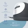 R-Go Tools Ergonomische Maus R-Go HE Break mit Pausensoftware, groß (Handgröße ≥ 185 mm), linkshändig, kabelgebunden, schwarz