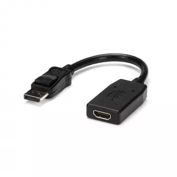 StarTech.com DP2HDMI DisplayPort-auf-HDMI-Videoadapter/-Konverter, passiv, bis zu 1920x1200, DP Stecker auf HDMI Buchse, 24 cm