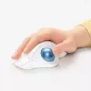 Maus Logitech ERGO M575 Wireless Trackball RF Wireless + Bluetooth