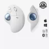 Maus Logitech ERGO M575 Wireless Trackball RF Wireless + Bluetooth