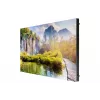 Monitor Samsung LH025IEACLS 25 Zoll Transparent Mesh LED 384 x 216