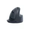R-Go Tools HE Basic ergonomische Maus, mittelgroß, für Rechtshänder, Bluetooth