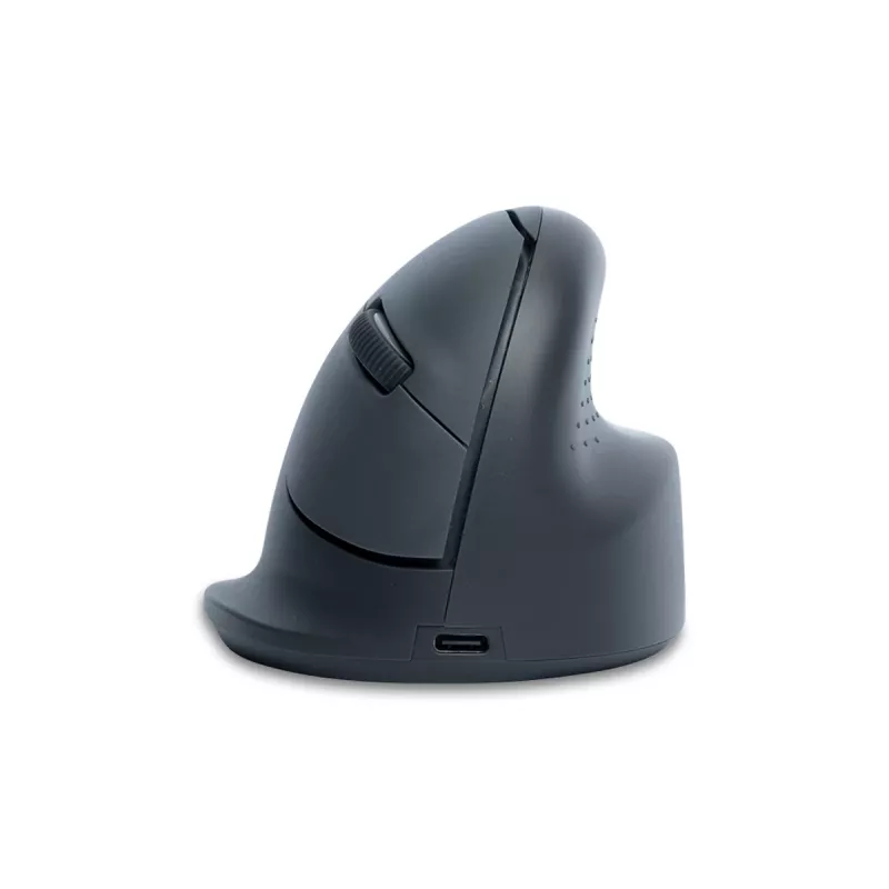 R-Go Tools HE Basic ergonomische Maus, mittelgroß, für Rechtshänder, Bluetooth