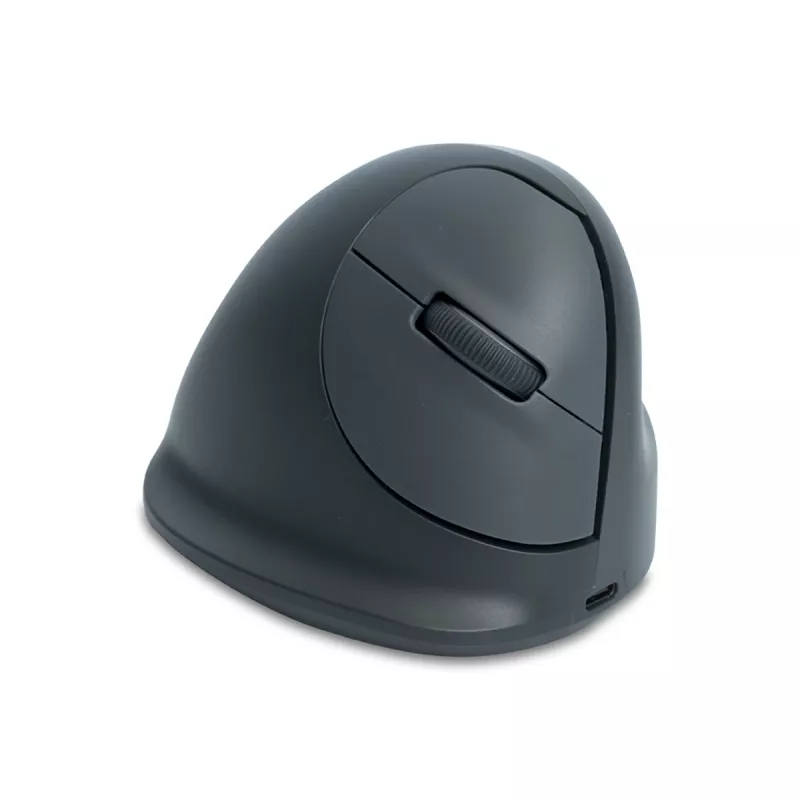 R-Go Tools HE Basic ergonomische Maus, mittelgroß, für Rechtshänder, Bluetooth