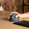 R-Go Tools HE Basic ergonomische Maus, mittelgroß, für Rechtshänder, Bluetooth