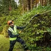 Teleskop-Heckenschneider DeWALT DCMPH566N-XJ