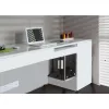 Techly 102239 seitlicher PC-Gehäusehalter, schwarz