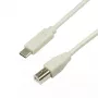 LogiLink CU0160 USB-2.0-Kabel USB-C auf USB-B, 1 m, grau