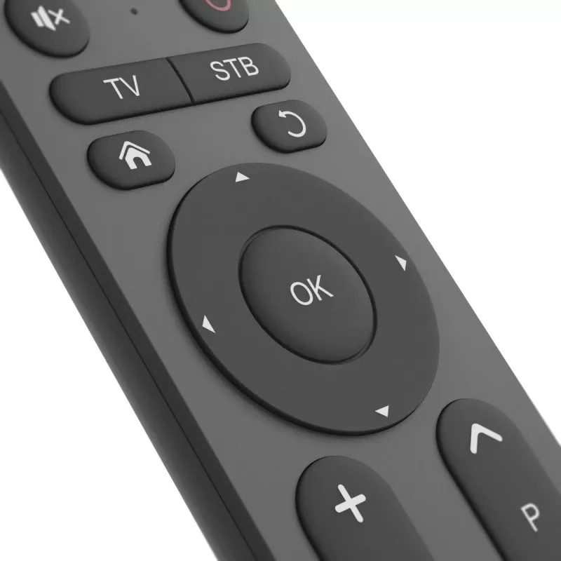 Hama 00221056 Universal-TV-Fernbedienung 2in1, Infrarot, große Tasten, lernfähig, Schwarz