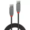 Lindy 0,2 m USB 2.0 Typ-A-auf-Typ-A-Kabel, Anthra Line
