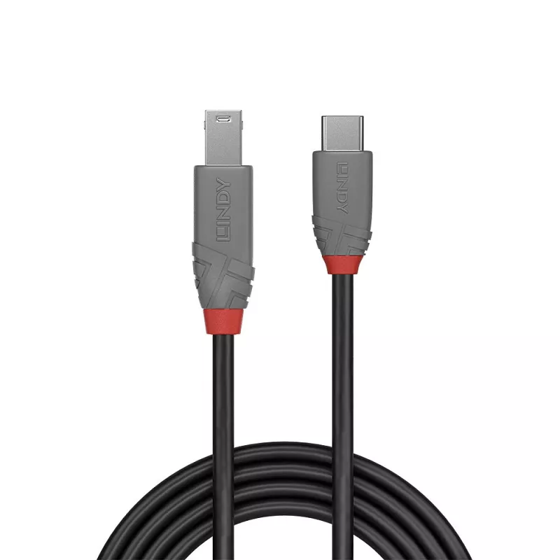 Lindy 2m USB 3.2 Typ-C-auf-B-Kabel, Anthra Line