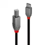 USB 2.0 Typ-C-auf-B-Kabel Lindy 36940 0,5 m Anthra Line