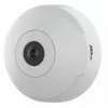Axis M3067-P 01731-001 Dome-Netzwerk-Überwachungskamera, Farbe (Tag und Nacht)