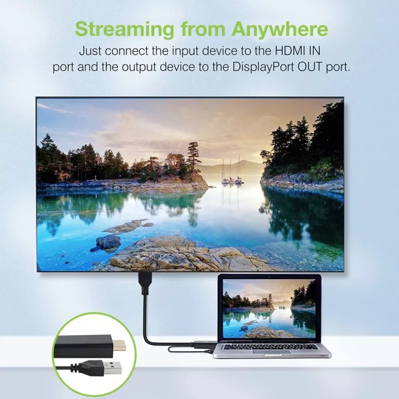 Techly ICOC-HDMI-DP12A HDMI-auf-DisplayPort-Adapter mit USB-Stromversorgung, 4K 30 Hz