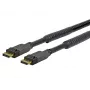 Vivolink PRODPAM20 DisplayPort-Kabel 20 m Schwarz