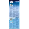 Bestway 57372 Aufstellpool Aufblasbarer Pool Rund 12362 L Grau