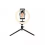 Beleuchtungsring Denver RLS-801 80 LED 600 lm 6500 K USB