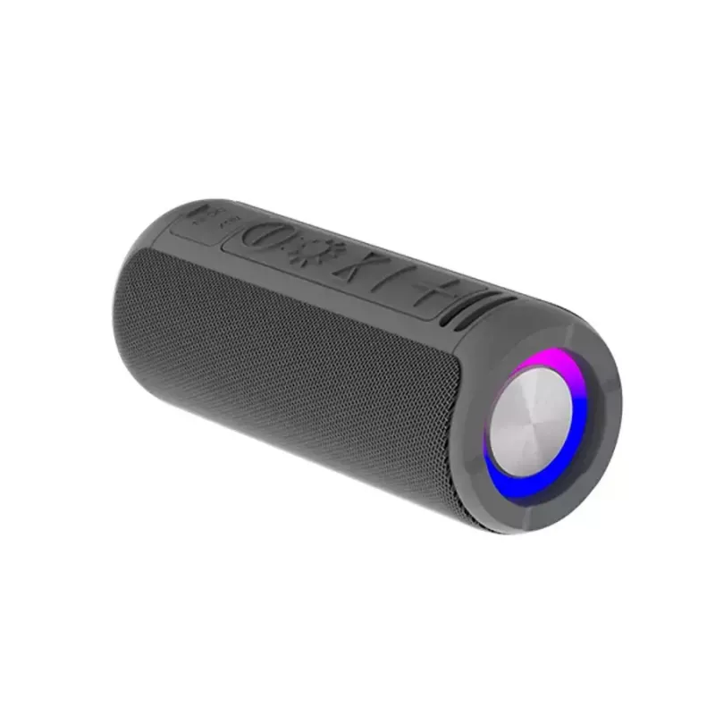 Denver BTV-213GR tragbarer Bluetooth-Lautsprecher, Grau