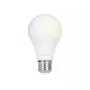 Hombli E27 smarte Glühbirne, 9 W, CCT, 1+1 Promo-Pack (2 Glühbirnen)