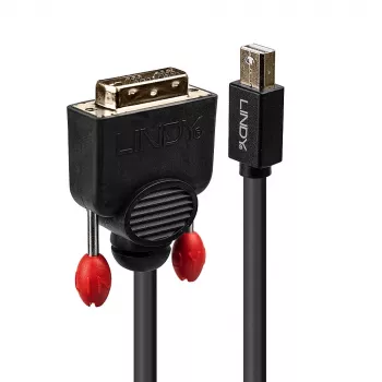 Lindy 1 m Mini DisplayPort auf DVI-Kabel, Schwarz
