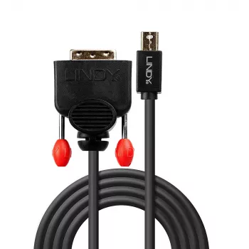 Lindy 1 m Mini DisplayPort auf DVI-Kabel, Schwarz