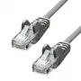 Netzwerkkabel ProXtend CAT5e U/UTP CCA PVC Grau 0,25 m