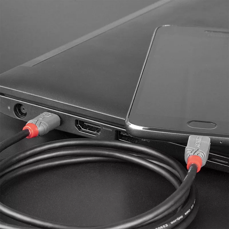 Lindy 0,5 m USB 2.0 Typ-C-auf-Micro-B-Kabel, Anthra Line