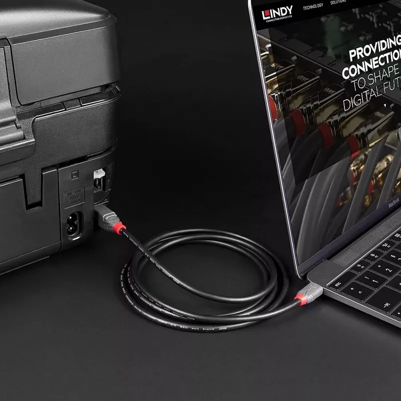 Lindy USB 2.0 Typ C auf B Kabel, 1 m, Anthra Line