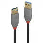 Lindy 0,5 m USB 3.2 Typ-A-Kabel, 5 Gbit/s, Anthra Line