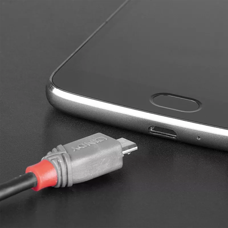 Lindy 1m USB 2.0 Typ-C auf Micro-B Kabel, Anthra Line