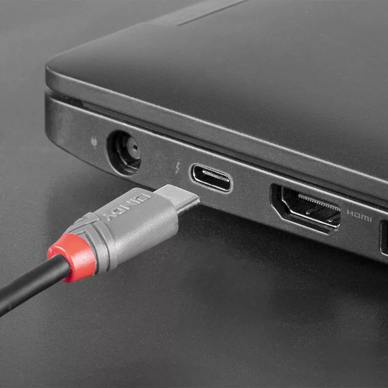 Lindy 1m USB 2.0 Typ-C auf Micro-B Kabel, Anthra Line