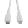 Lindy 1m USB Typ C auf Lightning Kabel, Weiß