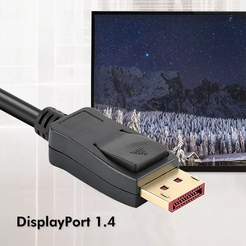 Techly ICOC DSP-A14-030NT DisplayPort-Kabel 3 m Schwarz