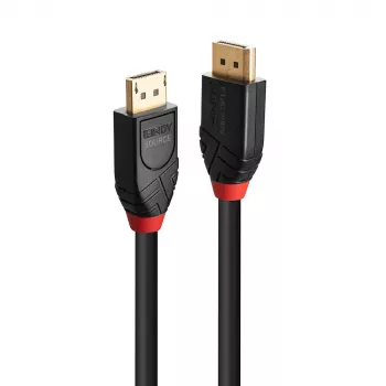 DisplayPort-Kabel Lindy 10m Aktives DisplayPort 1.4 Kabel